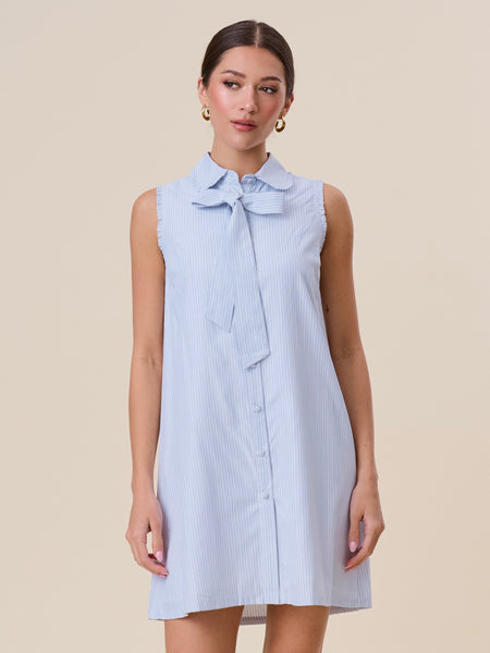 Tie Neck Shift Dress