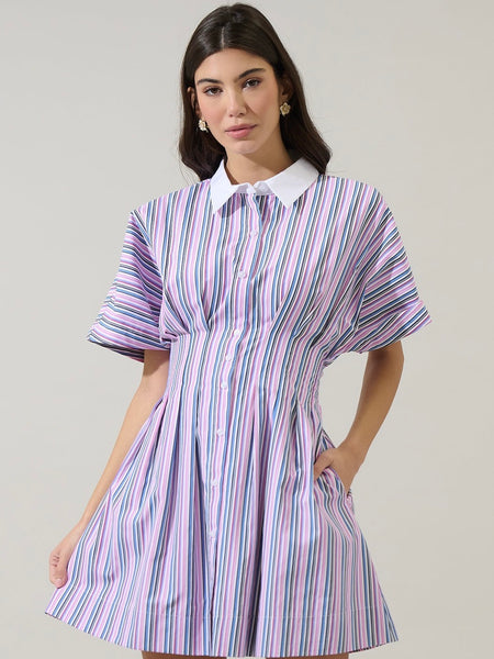 Kristy Collared Mini Dress