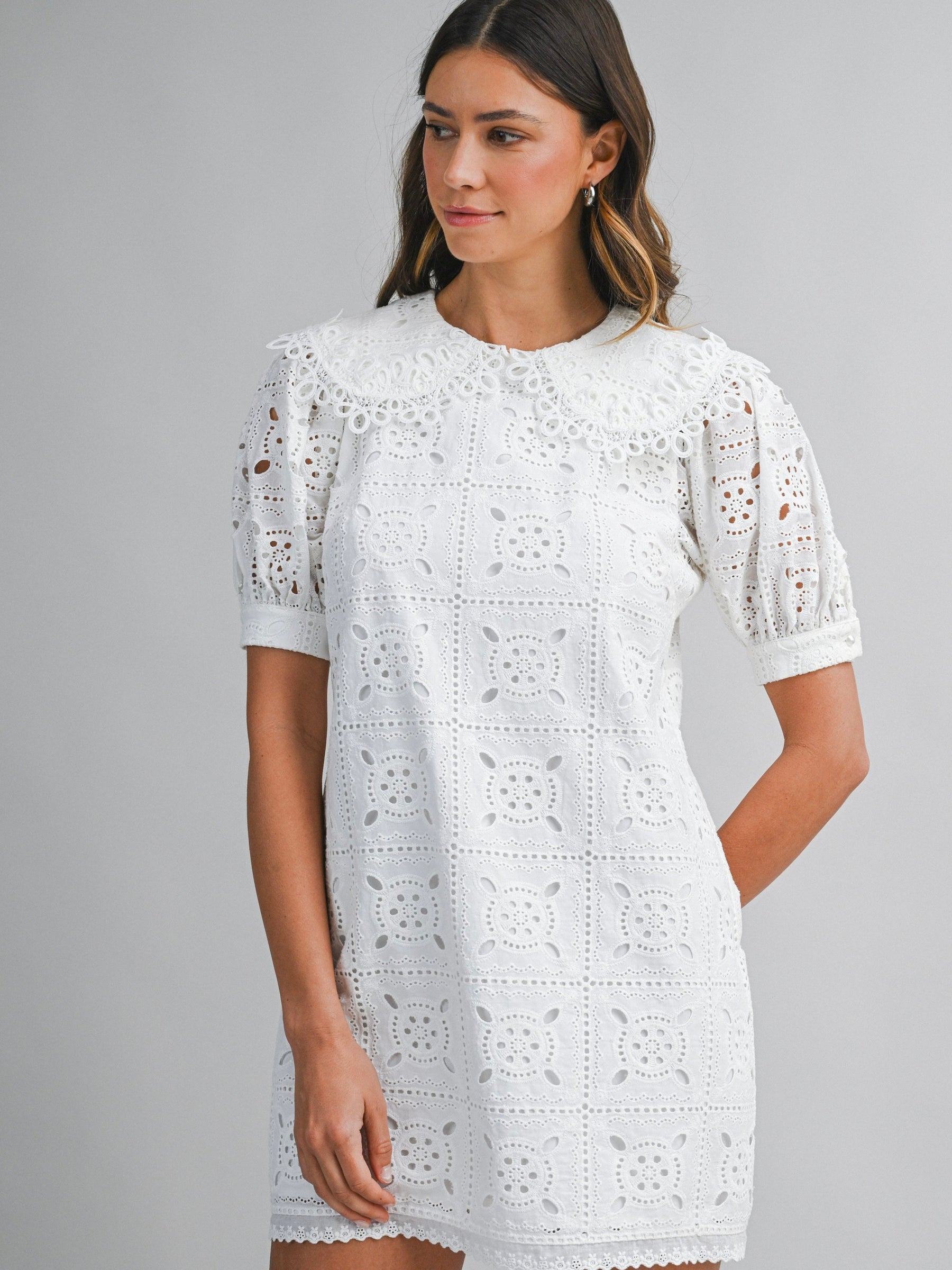 Eyelet Peter Pan Collar Mini Dress