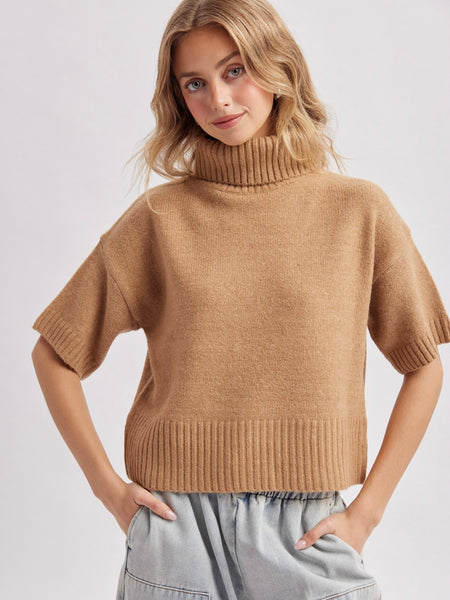 Elbow Length Turtleneck Sweater