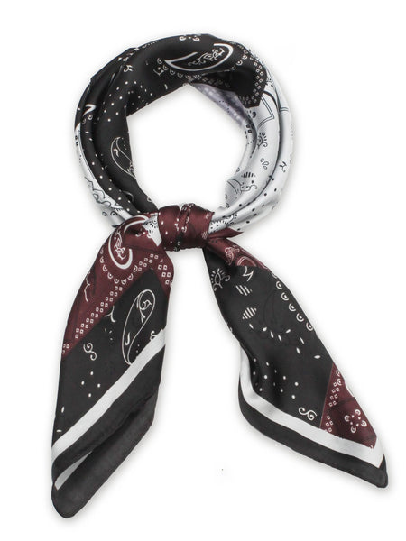 Paisley Print Satin Scarf