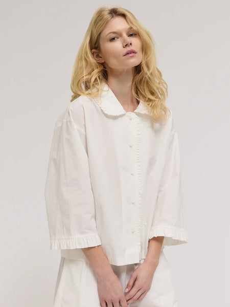 Pleat Ruffle Sleeve Shirt