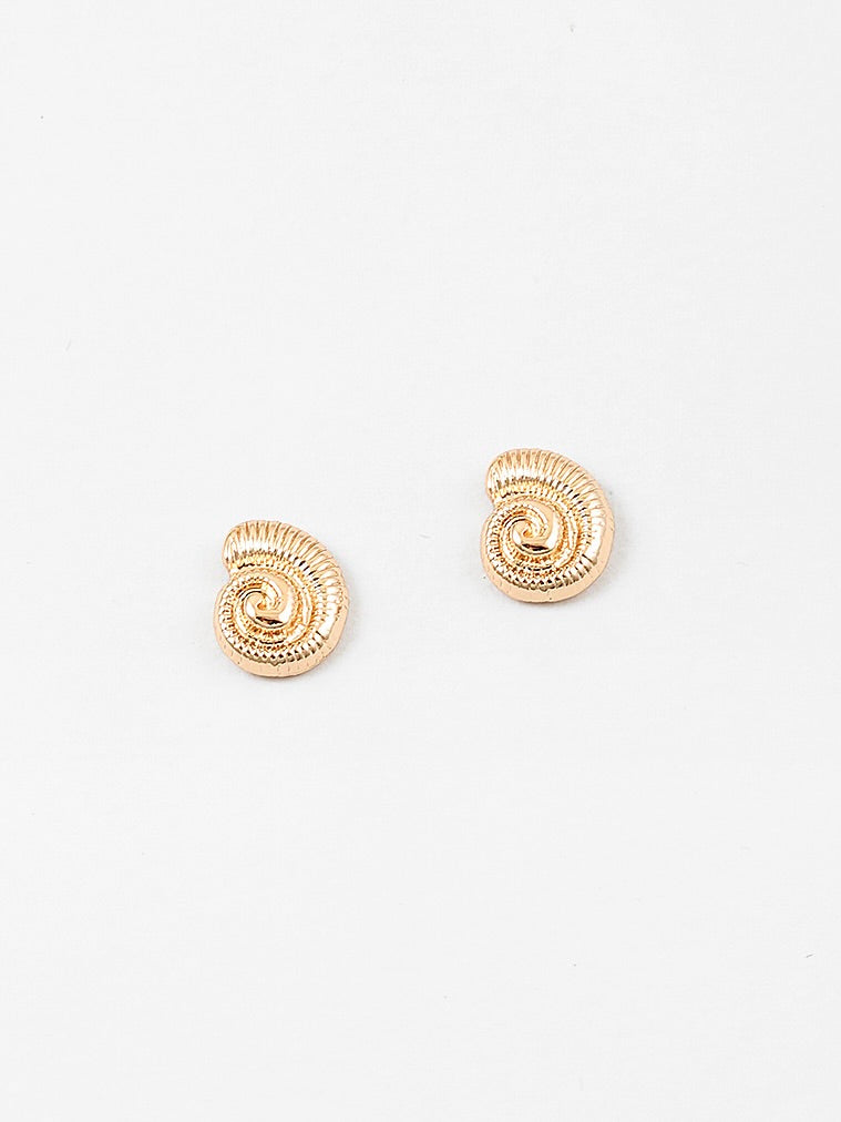 Seashell Studs
