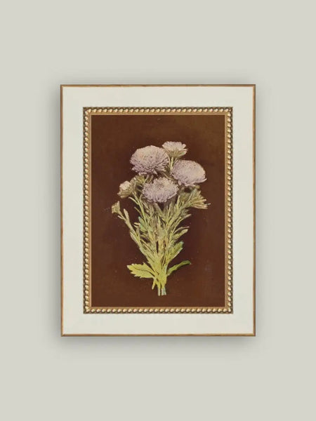 Lilac Dahlia on Brown Beaded Brass