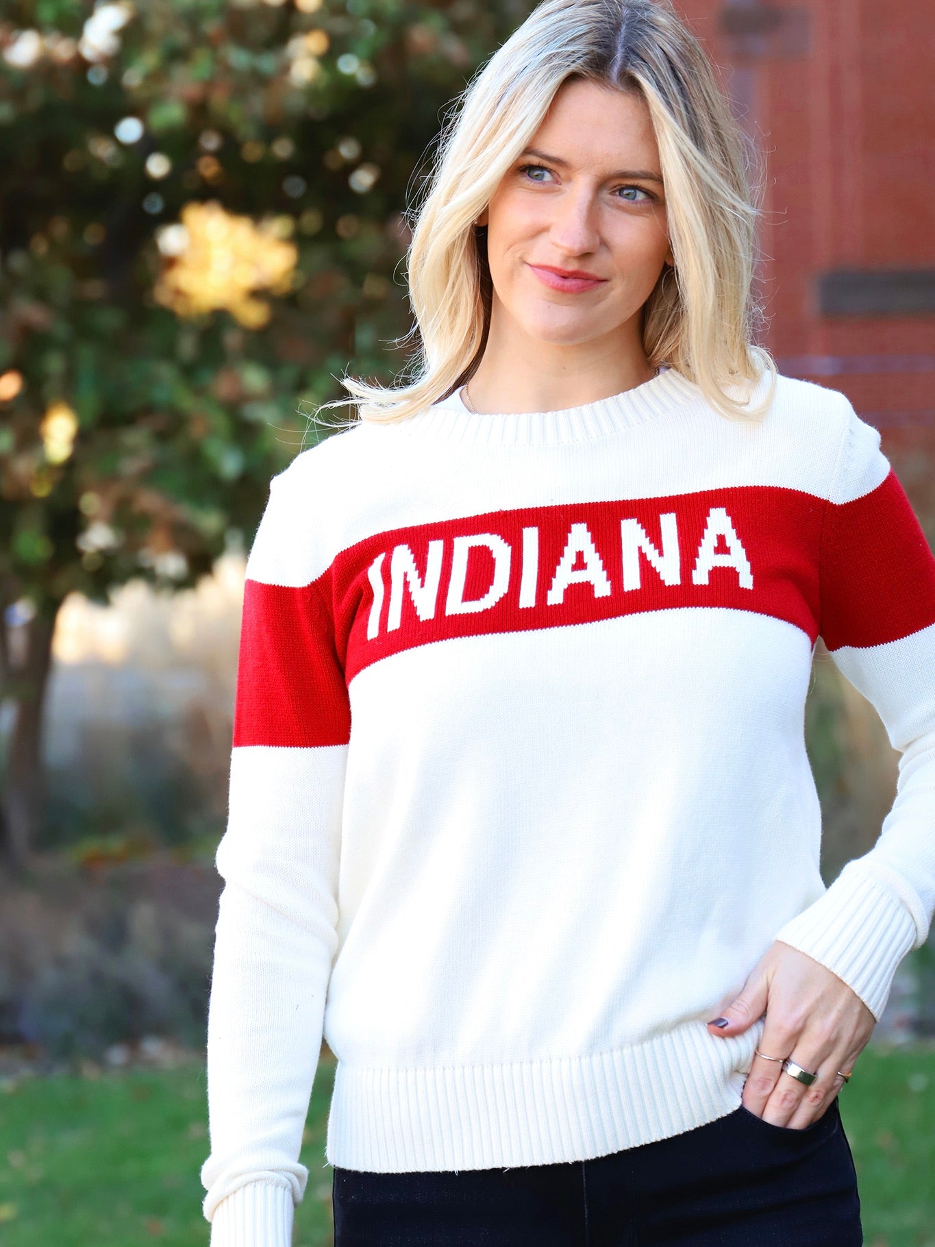 Indiana Collegiate Stripe Crewneck Sweater