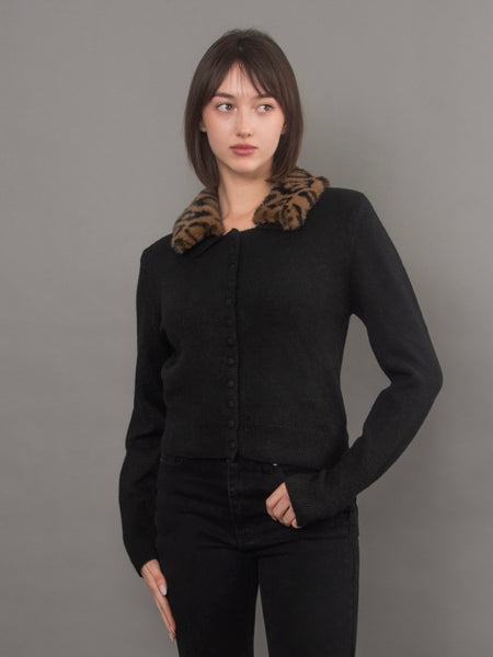 Atalanta Cardi