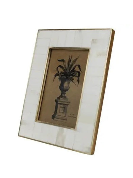 White Frame Bone with Brass