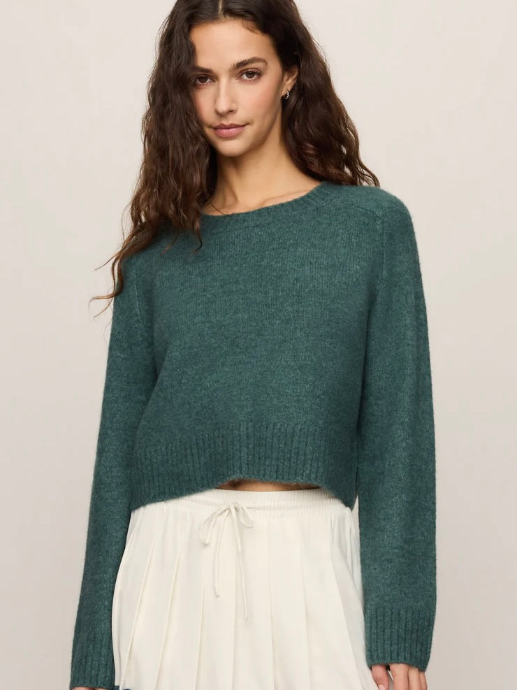 Z Supply Stand In Sweater