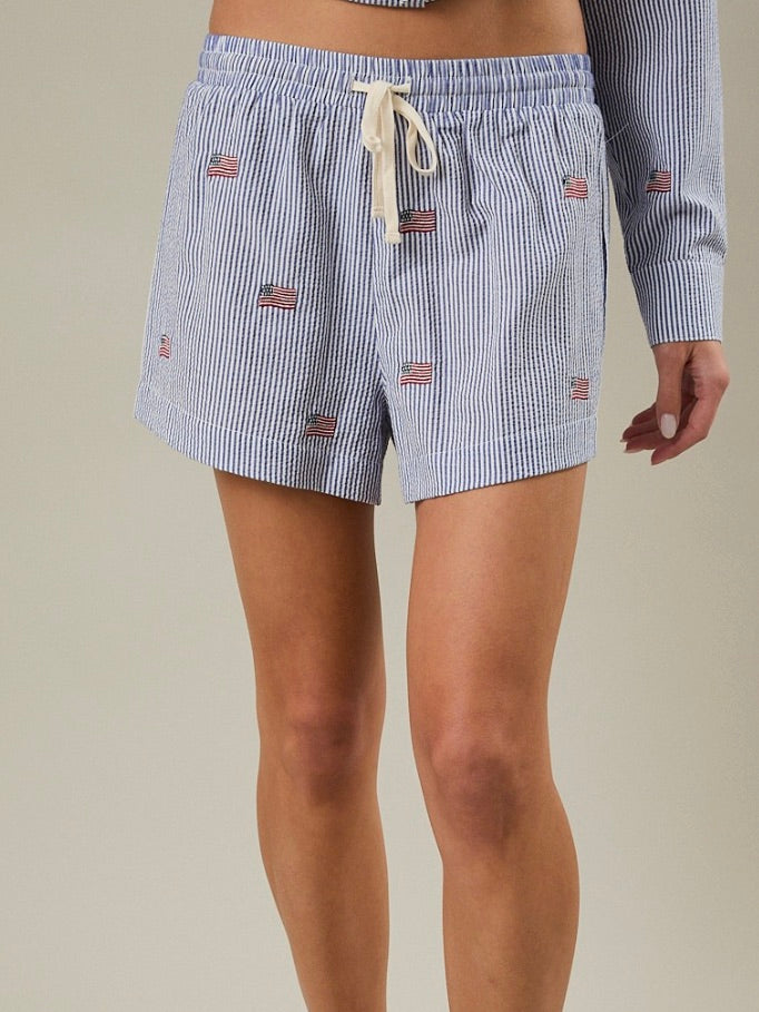 Stripe Flag Embroidered Shorts