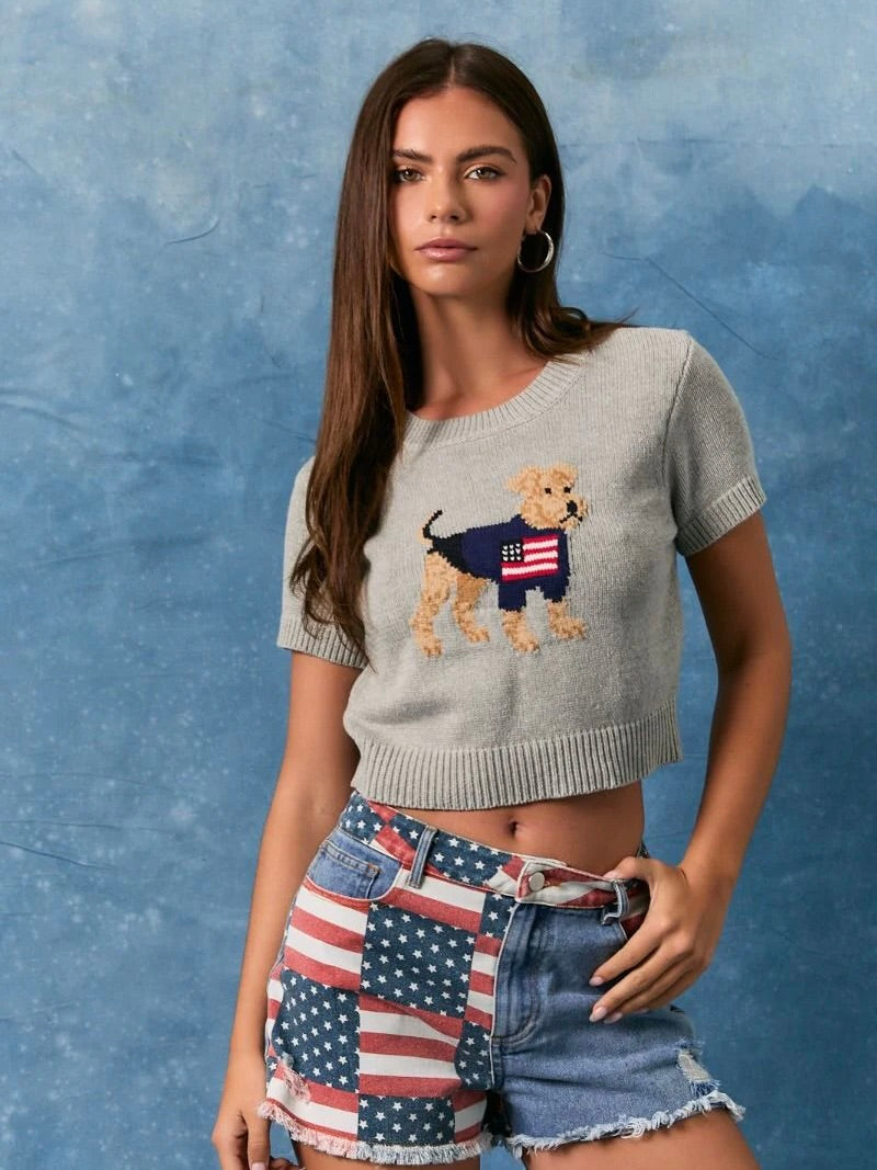 USA Puppy Sweater